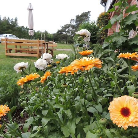 Ferienwohnung Gdzie Diabel Mowi Dobranoc Pisz Exterior foto